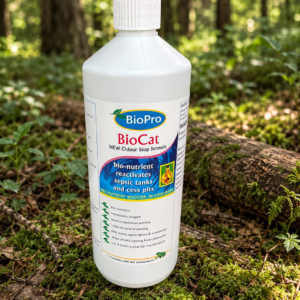 BioCat